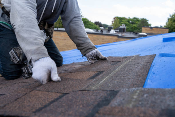 Roof Waterproofing Services in South Haven, MI